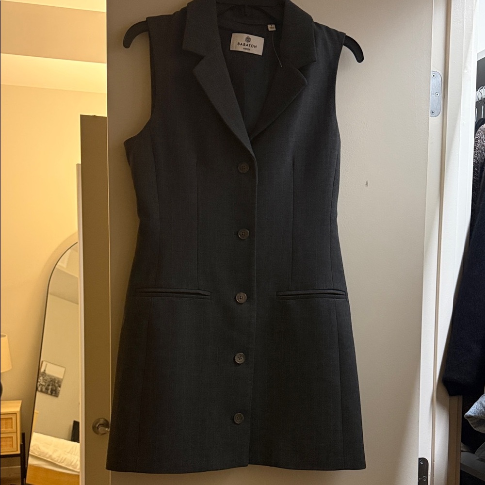 Babaton Charcoal Gray Blazer